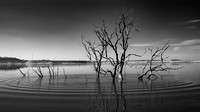 Folsom Lake 19-Nov-2015